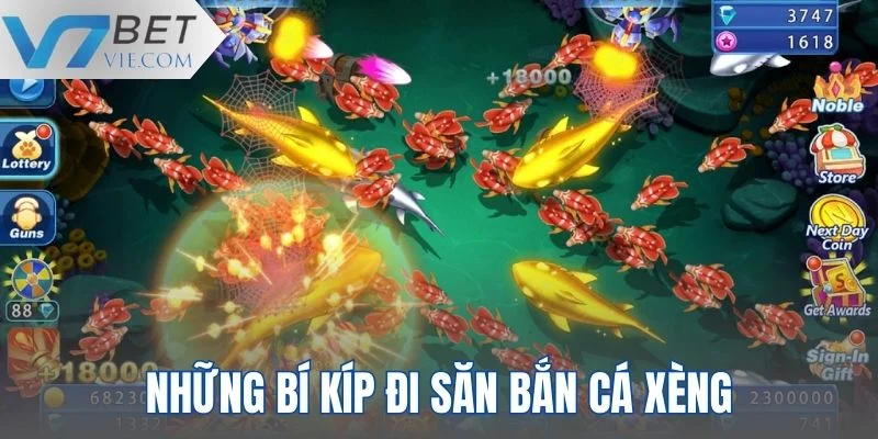 Bí kíp chơi Bắn Cá Xèng bất bại cho mọi người