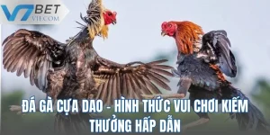 Đá Gà Cựa Dao - Hình Thức Vui Chơi Kiếm Thưởng Hấp Dẫn
