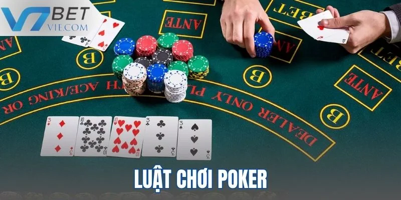 Thông tin luật đánh cơ bản Poker mà tân thủ cần nắm rõ