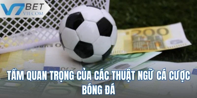 Tầm quan trọng thuật ngữ cá cược bóng đá cho bạn mới