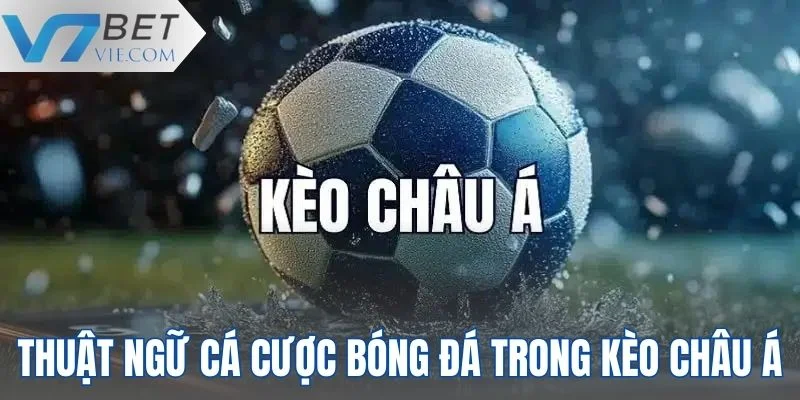 Những từ ngữ chuyên dụng trong kèo châu Á