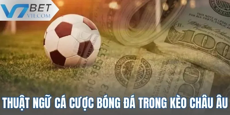 Thuật ngữ cá cược bóng đá kèo châu Âu thông dụng nhất